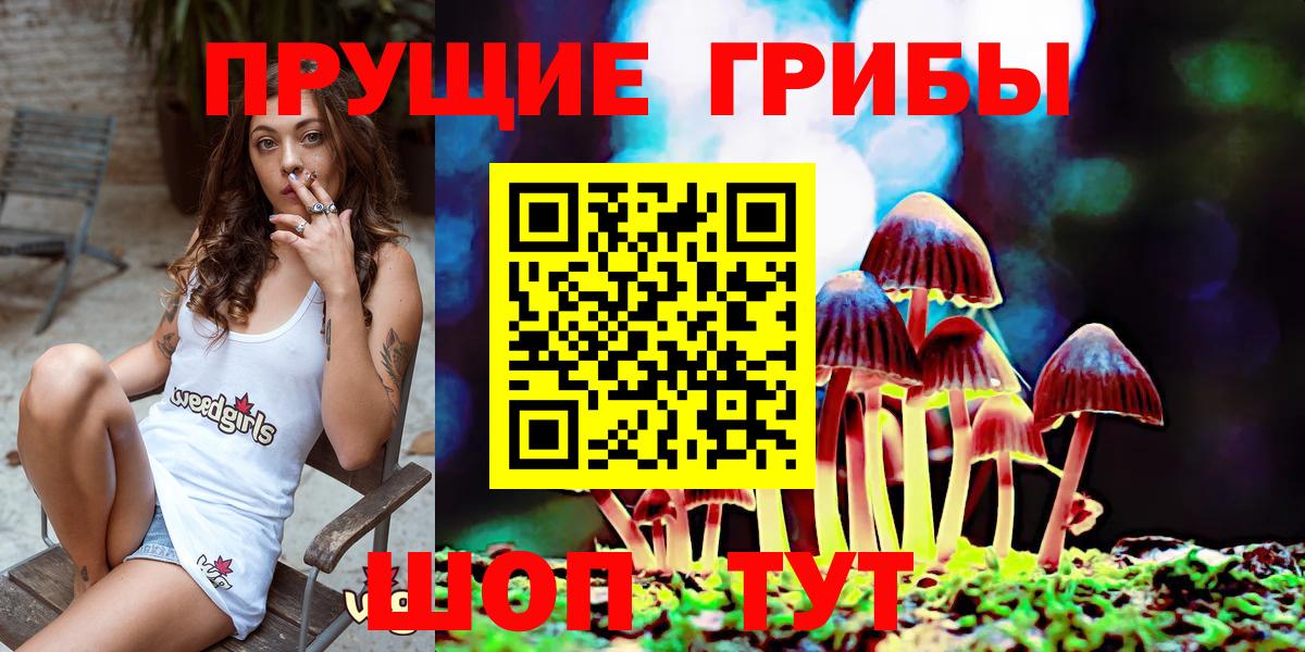 Галлюциногенные грибы Psilocybe Златоуст