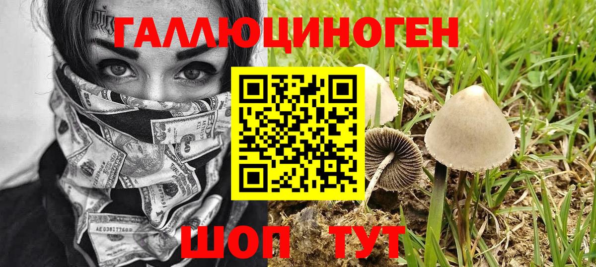 Галлюциногенные грибы Cubensis  Вход с VPN  Галлюциногенные грибы прущие грибы  Златоуст 